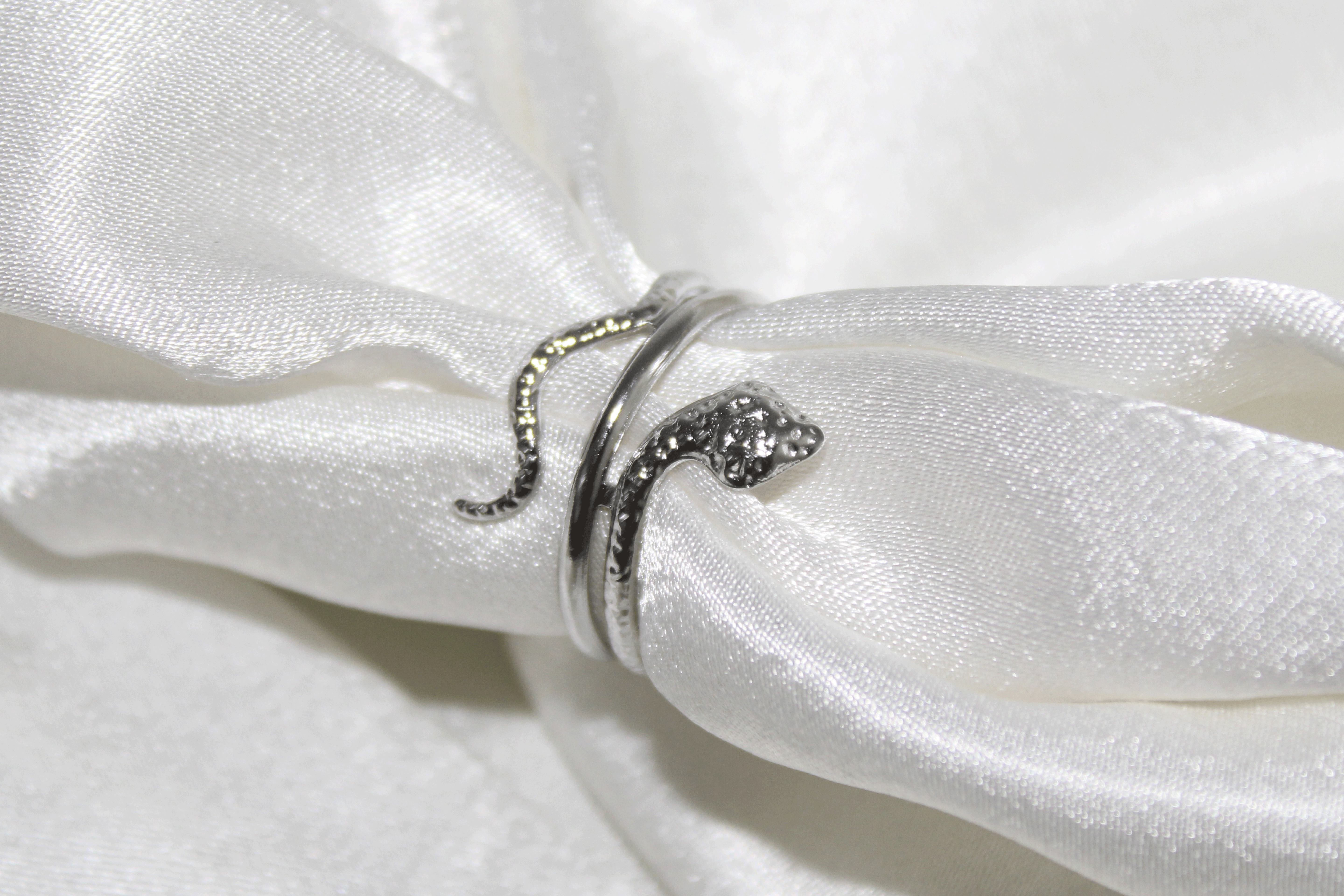 Anello Snake